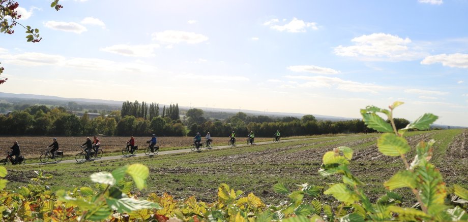 Ein Panoramablick in eine sommerliche Landschaft. Zu erkennen sind mehrere, mit Warnweste gekleidete Teilnehmerinnen und Teilnehmer einer Fahrradtour. 