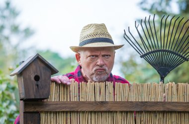 An elderly man with hat looks angry and watching over a garden f