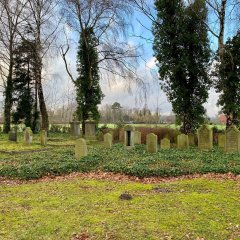 Mehrere Grabsteine auf einem jüdischen Friedhof. 