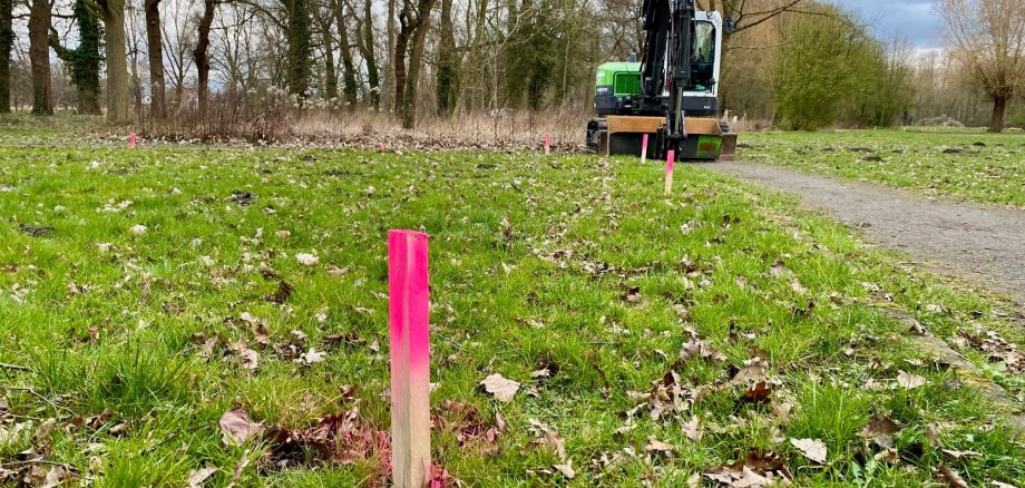 Eine farbige Holzmarkierung steckt in einem Park im Rasen. Im Hintergrund ist ein Bagger zu sehen.