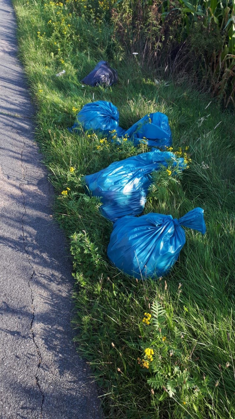 gefüllte blaue Müllsäcke, die an den Straßenrand geschmissen wurden.